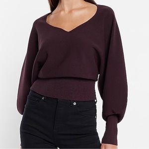 Express V-Neck Relaxed Sweater